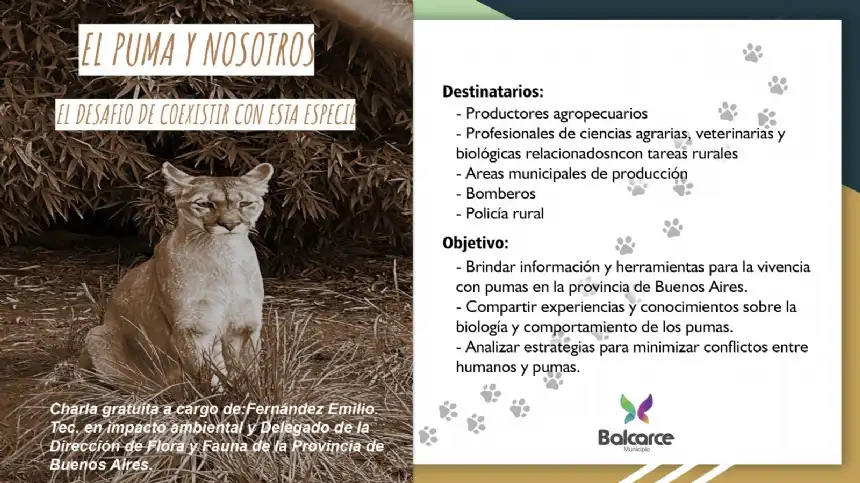 Noticias de Balcarce. Jornada clave sobre convivencia con pumas en territorio bonaerense