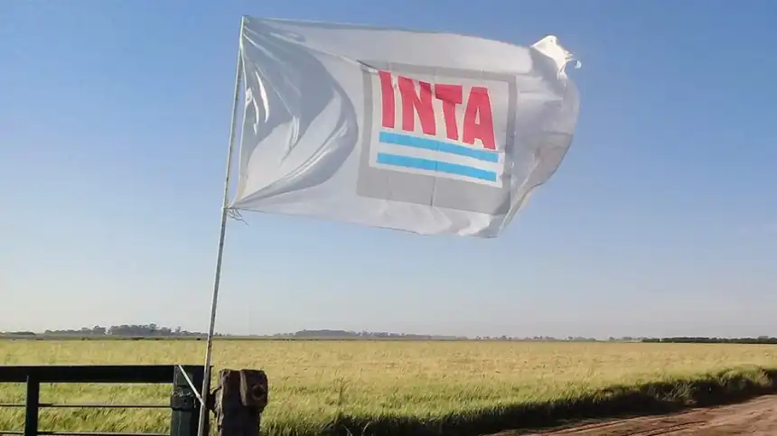Noticias de Agro y Negocios. La Comisión de Enlace expresó su preocupación por el futuro del INTA y pidió previsibilidad institucional Noticias de Agro y Negocios. La Comisión de Enlace expresó su preocupación por el futuro del INTA y pidió previsibilidad institucional