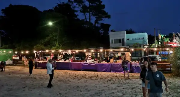 Villa Gesell. La feria Punto Violeta abrió sus puertas en Villa Gesell