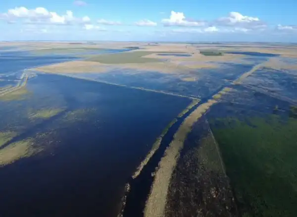 Agro y Negocios. La Nación activa emergencia agropecuaria en zonas bonaerenses