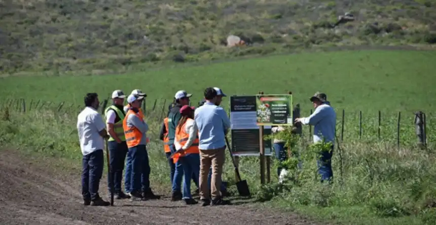 Noticias de Agro y Negocios. McCain y Arcos Dorados impulsan la agricultura regenerativa y premian a productores argentinos Noticias de Agro y Negocios. McCain y Arcos Dorados impulsan la agricultura regenerativa y premian a productores argentinos