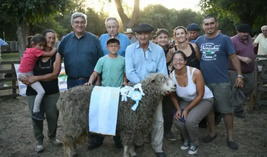 Noticias de Agro y Negocios. Provincia refuerza apoyo a la producción ovina tras recortes nacionales Noticias de Agro y Negocios. Provincia refuerza apoyo a la producción ovina tras recortes nacionales