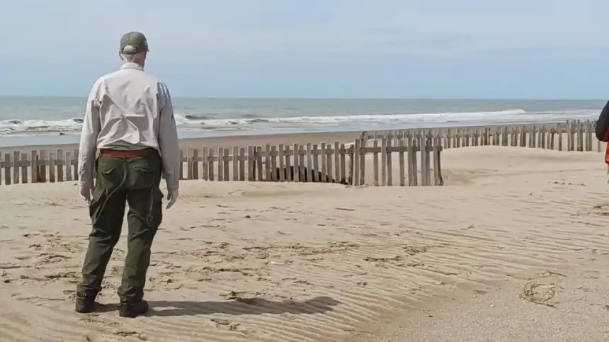 Noticias de Villa Gesell. Rescatan elefante marino recién nacido en costas geselinas Noticias de Villa Gesell. Rescatan elefante marino recién nacido en costas geselinas