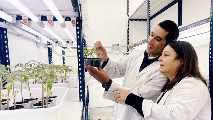 Noticias de Agro y Negocios. Residuos cerveceros transformados en bioestimulantes agrícolas Noticias de Agro y Negocios. Residuos cerveceros transformados en bioestimulantes agrícolas