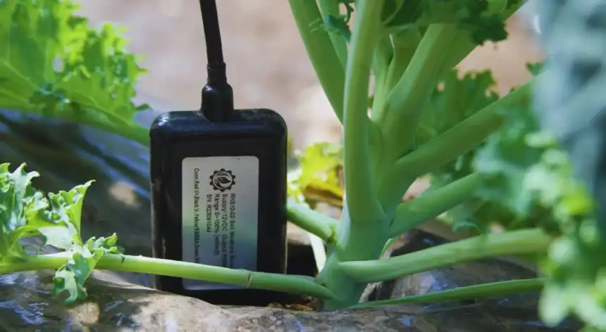 Noticias de Agro y Negocios. Riego inteligente con IA INTA presenta un sistema para cultivos bajo cubierta Noticias de Agro y Negocios. Riego inteligente con IA INTA presenta un sistema para cultivos bajo cubierta