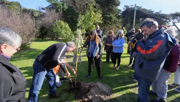 Villa Gesell. Villa Gesell plantó árboles en el Pinar del Norte como homenaje a sitios culturales protegidos