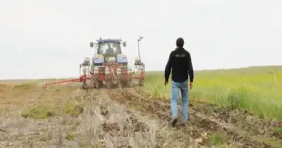 Agro y Negocios. Agroindustria y exportaciones: Por qué la formalización laboral también pesa en la competitividad