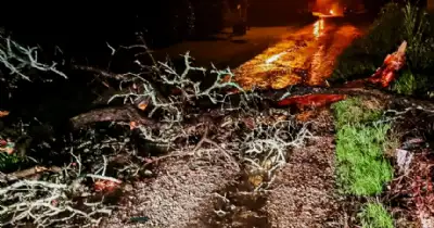 General Pueyrredon. Asistencia a damnificados por lluvias en Mar del Plata