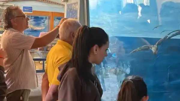 Necochea. Buen inicio de año para los museos de Necochea