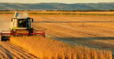Agro y Negocios. CARBAP reclamó la eliminación total de las retenciones al campo
