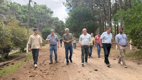 Villa Gesell. Confirman avances del camping Huttopia en Villa Gesell