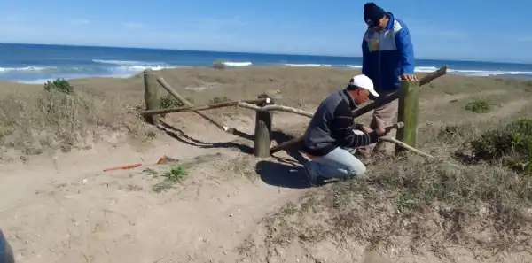 Loberia. Daños a la demarcación en la reserva natural de Arenas Verdes