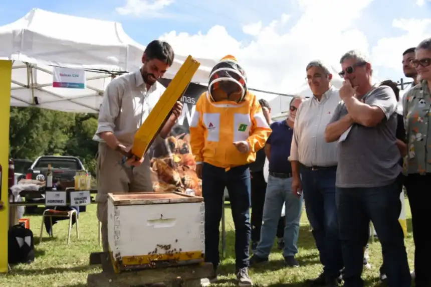 Noticias de Agro y Negocios. Encuentro criadores abejas reinas genética y mercado Noticias de Agro y Negocios. Encuentro criadores abejas reinas genética y mercado