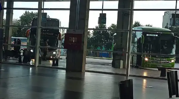 Feriado de Carnaval impulsa el mayor movimiento turístico del año