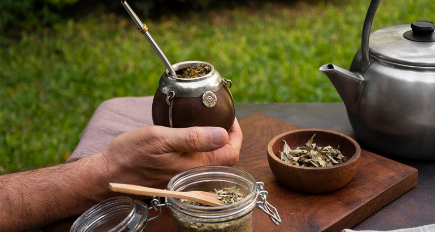 Turismo. Fiesta del Mate en Lobería: fecha, artistas y todo lo que tenés que saber