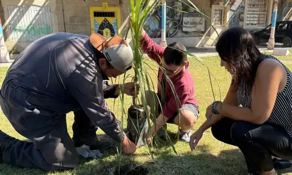 Necochea. Forestación y talleres para personas con discapacidad en un espacio municipal