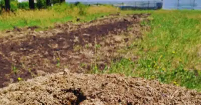 Agro y Negocios. Investigadores del INTA optimizan el compostaje para uso agronómico