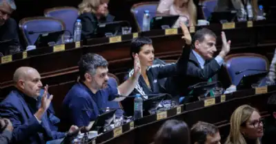 Regionales. iputados bonaerenses aprobaron la Ley Joaquín