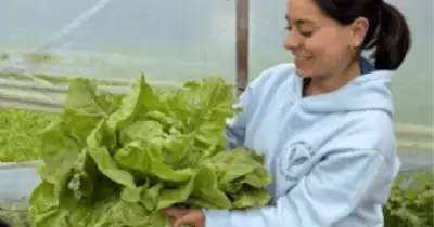 Agro y Negocios. La UNMDP impulsa cultivos sustentables con bacterias