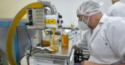 Agro y Negocios. Mar del Plata volvió a exportar miel fraccionada a Estados Unidos