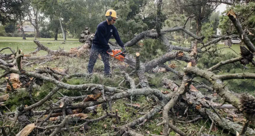 Noticias de Mar del Plata. Mejoran plaza en barrio La Florida Noticias de Mar del Plata. Mejoran plaza en barrio La Florida