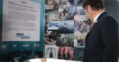 Regionales. Muestra Vidas Submarinas llega al Teatro Argentino