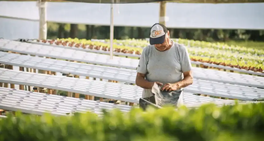 Noticias de Agro y Negocios. Nueva capacitación en hidroponía gratuita Noticias de Agro y Negocios. Nueva capacitación en hidroponía gratuita