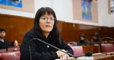 General Pueyrredon. Proponen un relevamiento de cordones amarillos irregulares
