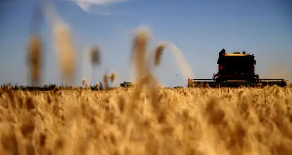 Agro y Negocios. Récord en exportaciones agroindustriales durante enero 2026