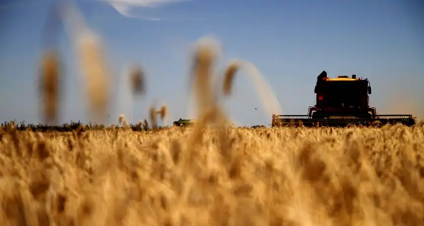 Noticias de Agro y Negocios. Récord en exportaciones agroindustriales durante enero 2026 Noticias de Agro y Negocios. Récord en exportaciones agroindustriales durante enero 2026