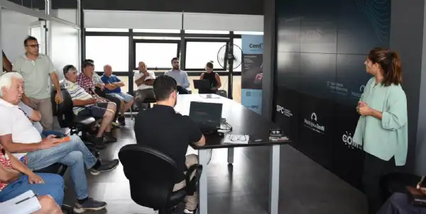 Tandil. Renovación del arbolado urbano en la Plaza Martín Rodríguez