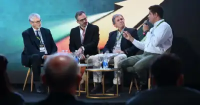 Agro y Negocios. Sorgo: el cultivo que gana terreno y mejora su rentabilidad