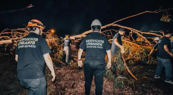 General Pueyrredon. Tormenta en Sierra de los Padres provoca múltiples siniestros