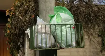 Balcarce impulsa el reciclaje con el programa “Miércoles Verde”
