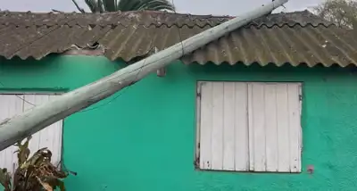 Defensa Civil y municipios atienden emergencias durante el temporal de viento