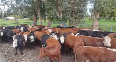 El campo vuelve a apostar: El 64% cree que es un buen momento para invertir