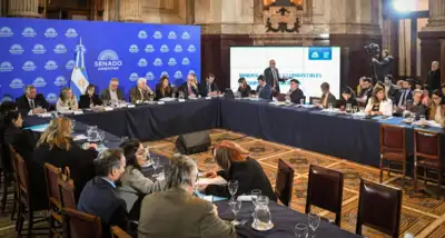 El Senado avanza con el proyecto para modificar el régimen de zona fría