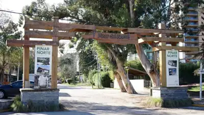 Histórico: Villa Gesell suma los pinares a su patrimonio