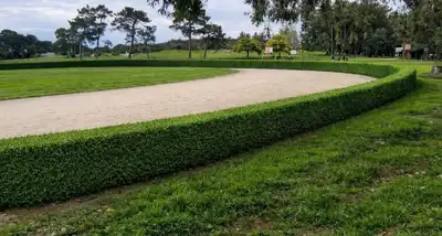 La pista de atletismo del cerro Serapio Gómez avanza con su parquización