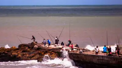 Mar del Plata ofrece una variada agenda cultural y deportiva para el fin de semana largo