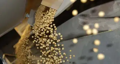 Mejora la capacidad de compra de granos y ganadería, pero la lechería y la yerba mate se debilitan