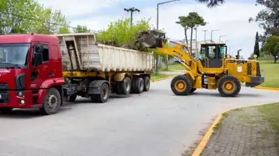 Municipalidad limpia nuevamente el Paseo 104 en Villa Gesell
