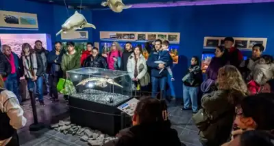 Museo Scaglia anuncia actividades gratuitas y eventos especiales para septiembre