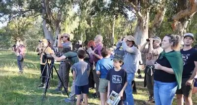 Necochea organiza jornada gratuita de observación de aves migratorias en el Parque Miguel Lillo