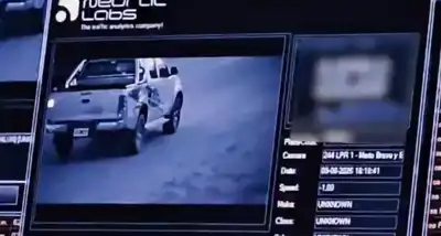 Neme anunció un nuevo sistema de seguridad para detectar patentes