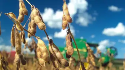 Agro y Negocios - Producción agrícola 2026/27 aumenta ligeramente mientras costos de combustible y fletes presionan la rentabilidad