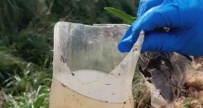 Provincia de Buenos Aires lanza semana de limpieza para prevenir el dengue