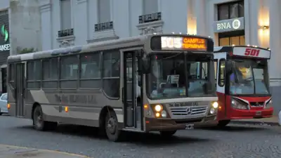 Tandil reorganiza los colectivos y prevé una suba de tarifas